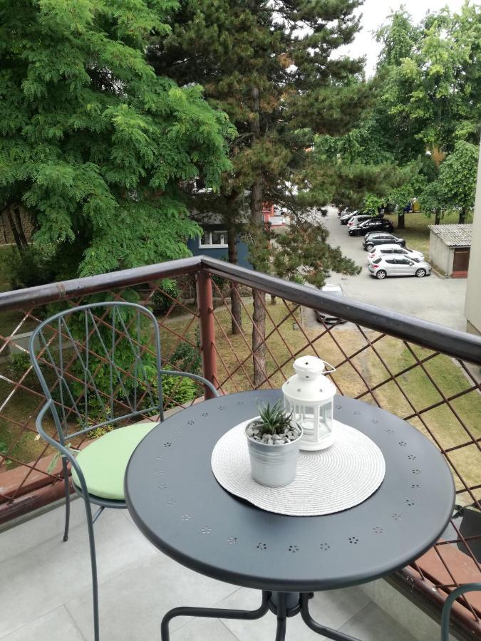 Apartman Bel וואראז'דין מראה חיצוני תמונה